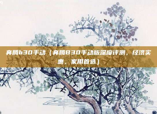 奔腾b30手动（奔腾B30手动版深度评测，经济实惠，家用首选）