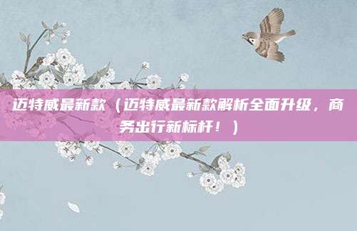 迈特威最新款（迈特威最新款解析全面升级，商务出行新标杆！）