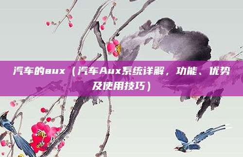 汽车的aux（汽车Aux系统详解，功能、优势及使用技巧）
