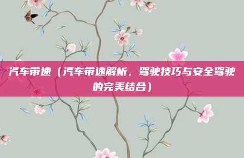 汽车带速（汽车带速解析，驾驶技巧与安全驾驶的完美结合）