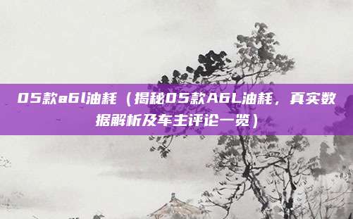 05款a6l油耗（揭秘05款A6L油耗，真实数据解析及车主评论一览）