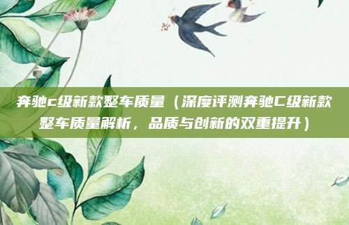 奔驰c级新款整车质量（深度评测奔驰C级新款整车质量解析，品质与创新的双重提升）