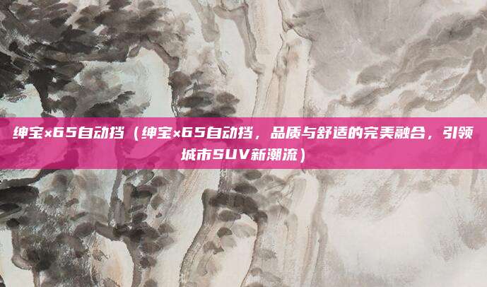 绅宝×65自动挡（绅宝×65自动挡，品质与舒适的完美融合，引领城市SUV新潮流）