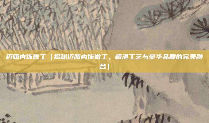 迈腾内饰做工（揭秘迈腾内饰做工，精湛工艺与豪华品质的完美融合）