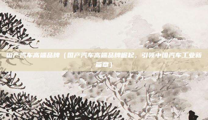 国产汽车高端品牌（国产汽车高端品牌崛起，引领中国汽车工业新篇章）