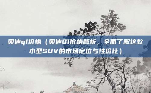 奥迪q1价格（奥迪Q1价格解析，全面了解这款小型SUV的市场定位与性价比）