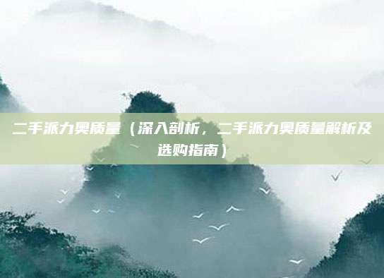 二手派力奥质量（深入剖析，二手派力奥质量解析及选购指南）