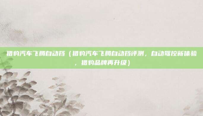 猎豹汽车飞腾自动挡（猎豹汽车飞腾自动挡评测，自动驾控新体验，猎豹品牌再升级）