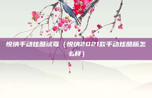 悦纳手动炫酷试驾(悦纳2021款手动炫酷版怎么样)