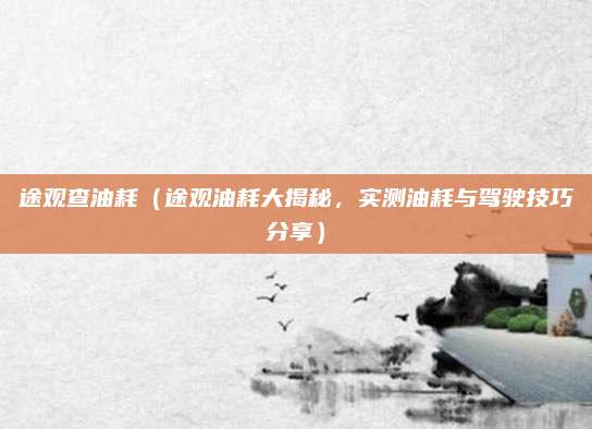 途观查油耗（途观油耗大揭秘，实测油耗与驾驶技巧分享）