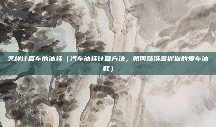 怎样计算车的油耗（汽车油耗计算方法，如何精准掌握你的爱车油耗）