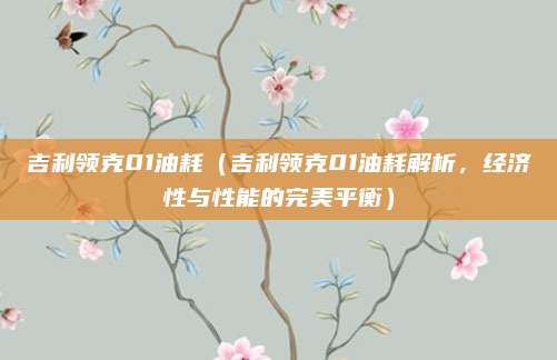 吉利领克01油耗（吉利领克01油耗解析，经济性与性能的完美平衡）