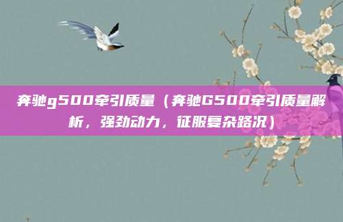 奔驰g500牵引质量（奔驰G500牵引质量解析，强劲动力，征服复杂路况）