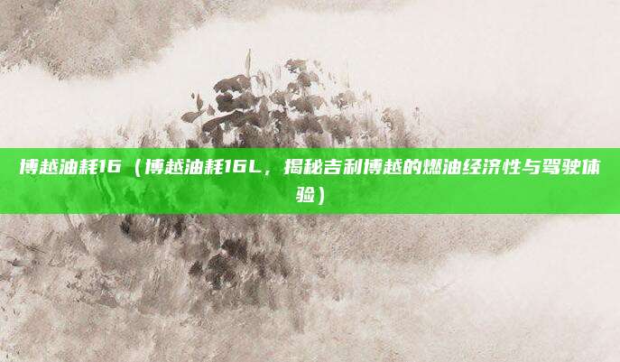 博越油耗16（博越油耗16L，揭秘吉利博越的燃油经济性与驾驶体验）