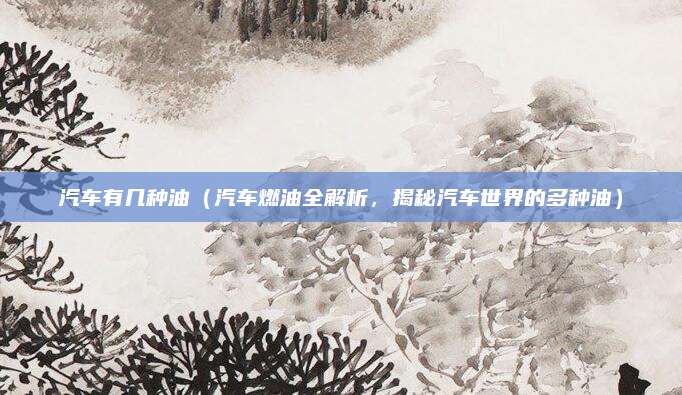 汽车有几种油（汽车燃油全解析，揭秘汽车世界的多种油）