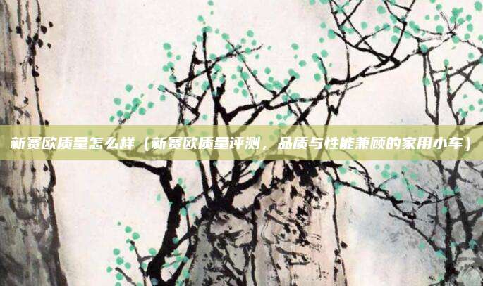 新赛欧质量怎么样（新赛欧质量评测，品质与性能兼顾的家用小车）