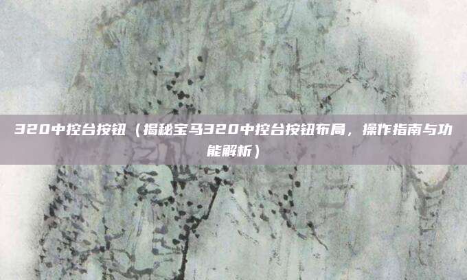 320中控台按钮（揭秘宝马320中控台按钮布局，操作指南与功能解析）