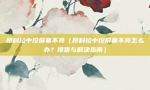昂科拉中控屏幕不亮（昂科拉中控屏幕不亮怎么办？排查与解决指南）