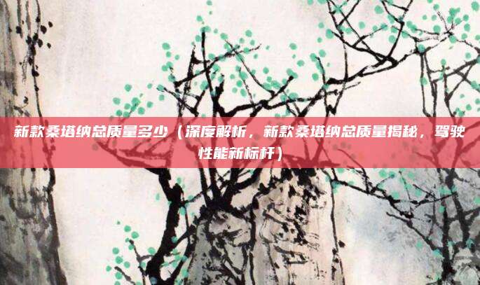 新款桑塔纳总质量多少（深度解析，新款桑塔纳总质量揭秘，驾驶性能新标杆）