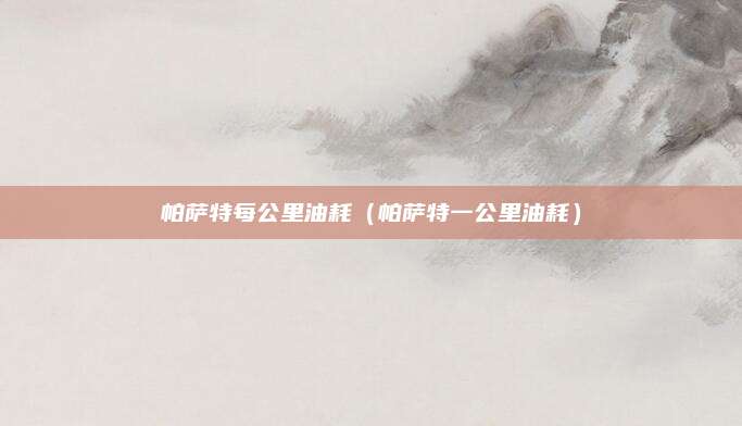 帕萨特每公里油耗(帕萨特一公里油耗)