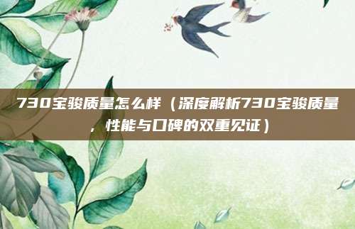 730宝骏质量怎么样（深度解析730宝骏质量，性能与口碑的双重见证）