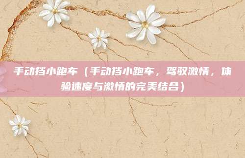 手动挡小跑车（手动挡小跑车，驾驭激情，体验速度与激情的完美结合）