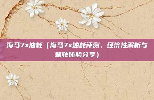 海马7x油耗（海马7x油耗评测，经济性解析与驾驶体验分享）