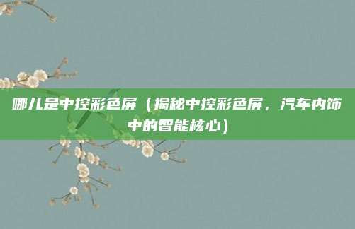 哪儿是中控彩色屏（揭秘中控彩色屏，汽车内饰中的智能核心）