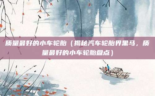 质量最好的小车轮胎（揭秘汽车轮胎界黑马，质量最好的小车轮胎盘点）