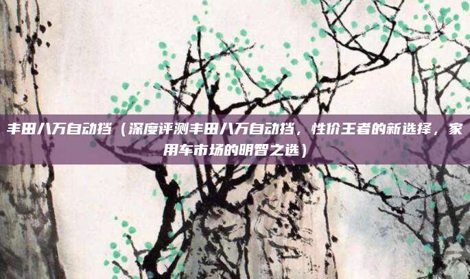 丰田八万自动挡（深度评测丰田八万自动挡，性价王者的新选择，家用车市场的明智之选）