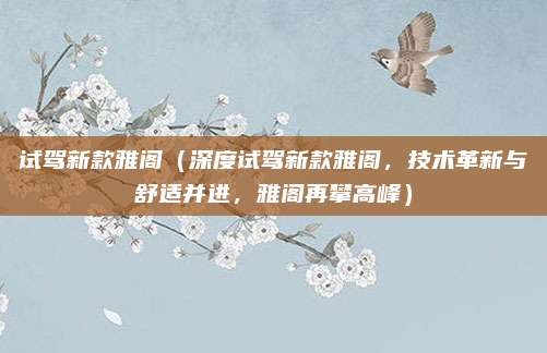 试驾新款雅阁（深度试驾新款雅阁，技术革新与舒适并进，雅阁再攀高峰）