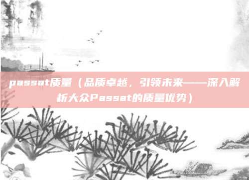 passat质量（品质卓越，引领未来——深入解析大众Passat的质量优势）
