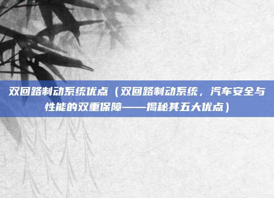 双回路制动系统优点（双回路制动系统，汽车安全与性能的双重保障——揭秘其五大优点）