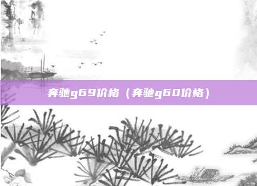 奔驰g69价格(奔驰g60价格)