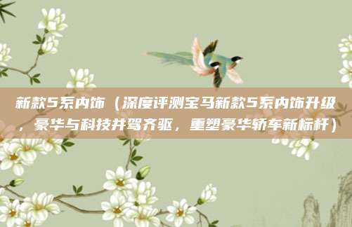 新款5系内饰（深度评测宝马新款5系内饰升级，豪华与科技并驾齐驱，重塑豪华轿车新标杆）