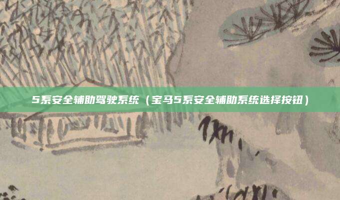 5系安全辅助驾驶系统(宝马5系安全辅助系统选择按钮)