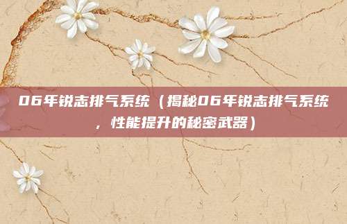 06年锐志排气系统（揭秘06年锐志排气系统，性能提升的秘密武器）