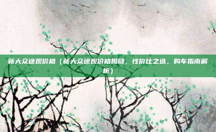 新大众途观价格（新大众途观价格揭晓，性价比之选，购车指南解析）