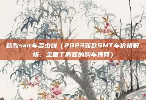 新款smt车多少钱（2023新款SMT车价格解析，全面了解您的购车预算）