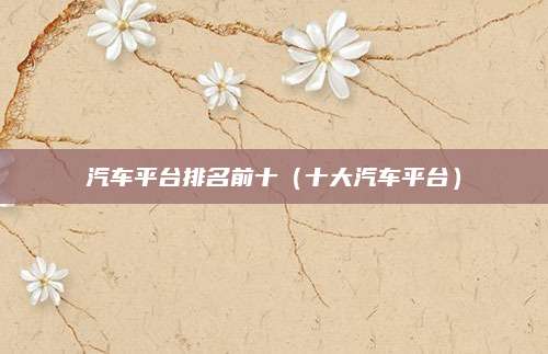 汽车平台排名前十(十大汽车平台)