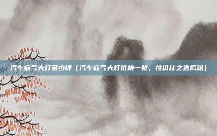 汽车疝气大灯多少钱（汽车疝气大灯价格一览，性价比之选揭秘）