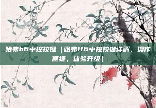 哈弗h6中控按键（哈弗H6中控按键详解，操作便捷，体验升级）