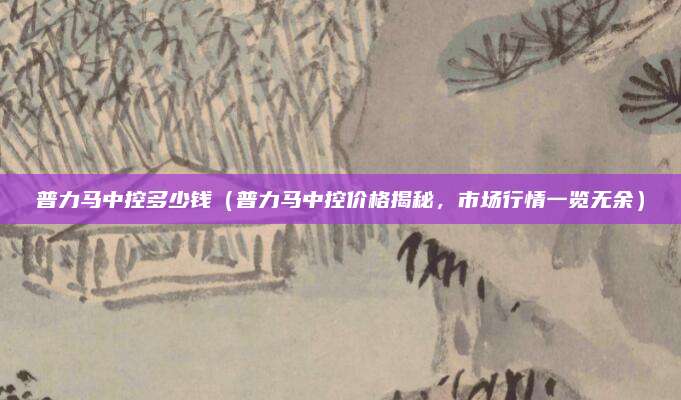 普力马中控多少钱（普力马中控价格揭秘，市场行情一览无余）