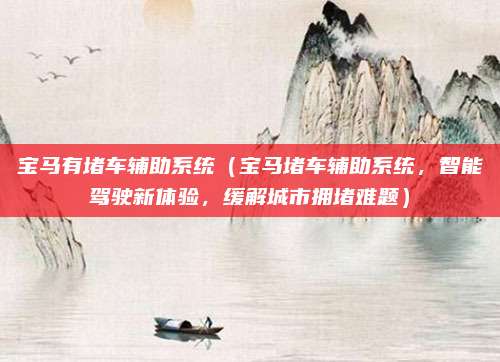 宝马有堵车辅助系统（宝马堵车辅助系统，智能驾驶新体验，缓解城市拥堵难题）