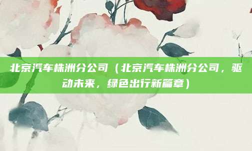 北京汽车株洲分公司（北京汽车株洲分公司，驱动未来，绿色出行新篇章）