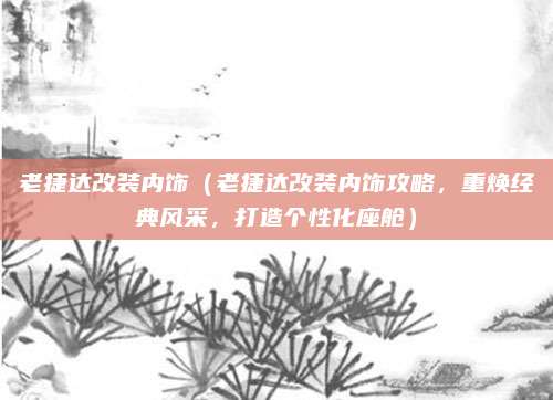 老捷达改装内饰（老捷达改装内饰攻略，重焕经典风采，打造个性化座舱）