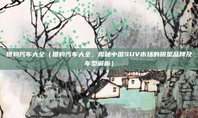 猎豹汽车大全（猎豹汽车大全，揭秘中国SUV市场的明星品牌及车型解析）
