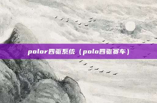 polor四驱系统（polo四驱赛车）
