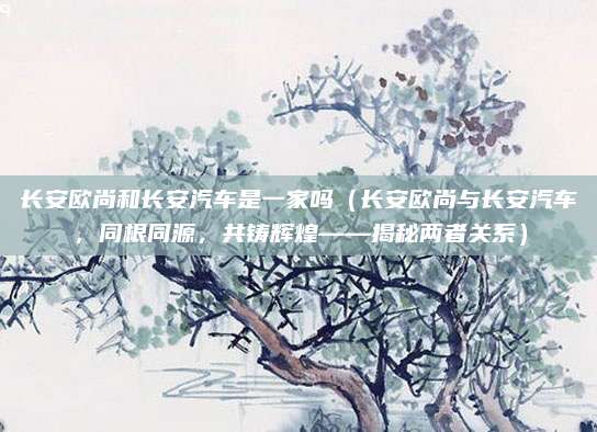 长安欧尚和长安汽车是一家吗（长安欧尚与长安汽车，同根同源，共铸辉煌——揭秘两者关系）