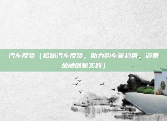 汽车反贷（揭秘汽车反贷，助力购车新趋势，消费金融创新实践）